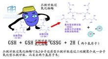谷胱甘肽过氧化物酶(机体内广泛存在的一种重要的过氧化物分解酶)