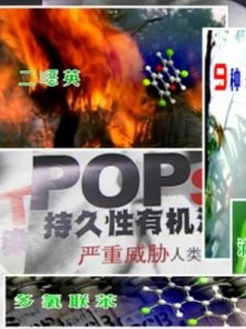 持久性有机污染物(对人类健康造成有害影响的化学物质)