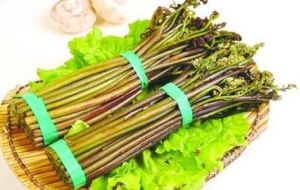 厥菜(属凤尾蕨科蕨属类菜品)