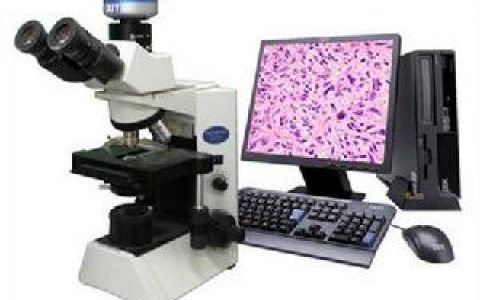 检测设备(质量检测仪器)