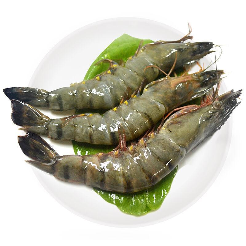对虾(十足目对虾科动物)
