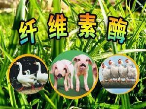纤维素酶(降解纤维素生成葡萄糖的一组酶)