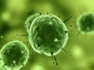 活细胞(能进行新陈代谢、繁殖、复制的细胞)