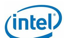 gpu(图形处理器)
