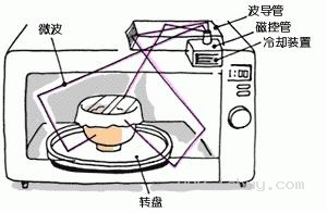 共振(物理学术语)