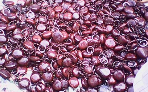 平安豆(佛教界供俸神灵的用品)