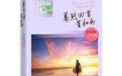 蓦然回首星如雨(穿行四季着出版的小说作品)