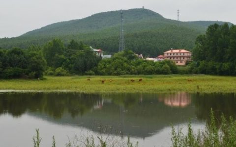 东安区(黑龙江省牡丹江市辖区)