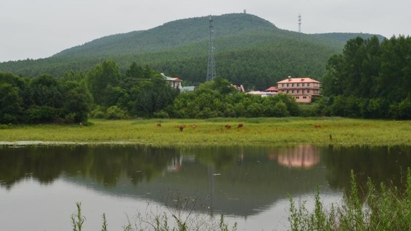 东安区(黑龙江省牡丹江市辖区)