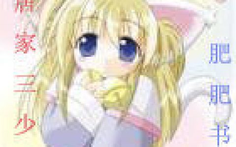 完美主义魔法师(异术奇能小说)