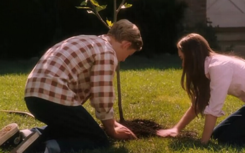 怦然心动(美国2010年罗伯·莱纳执导的电影)