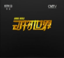 动物世界(中央电视台栏目)