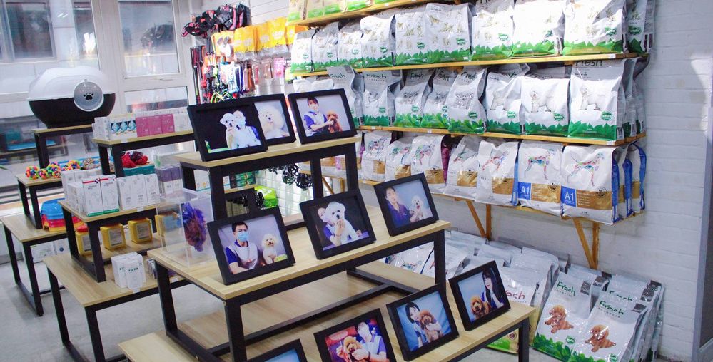 重庆宠物店(派多格宠物用品有限公司的旗下宠物用品店)