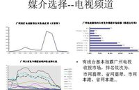 媒介策划(独特的管理职能)