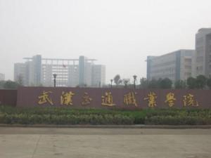 武汉交通职业学院(理工类公办高等院校)