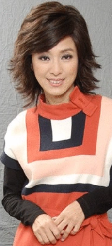 女人最痛(2010年林志华执导的电视剧)