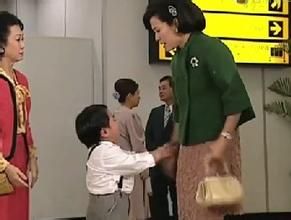 掌上明珠(家族争产电视剧)