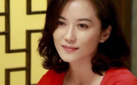 小丈夫(2016年姚晓峰执导的电视剧)