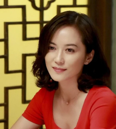 小丈夫(2016年姚晓峰执导的电视剧)