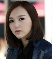 格子间女人(2014年蒋家骏执导电视剧)