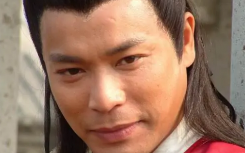 傻王闯天下(2004年程宏庆导演电视剧)