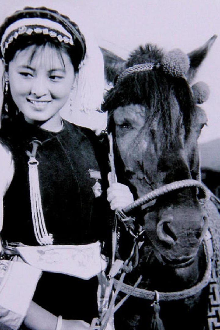 五朵金花(1959年王家乙执导的电影)