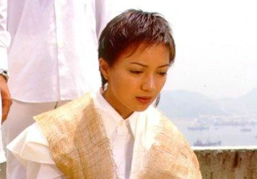 天地豪情(1998年罗嘉良、陈锦鸿主演的电视剧)