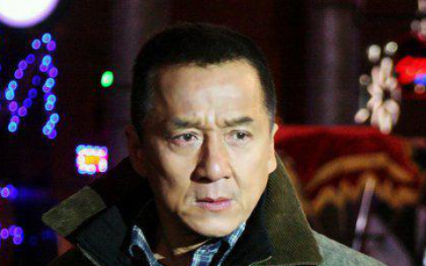 警察故事2013(2012年丁晟执导电影)