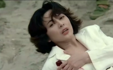 大冒险家(1995年刘德华主演的电影)