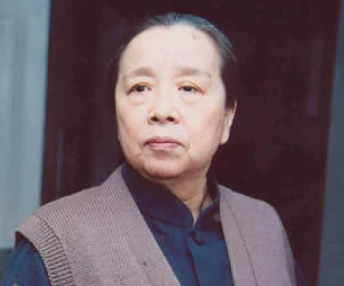 家有九凤(2005年杨亚洲执导的电视剧)