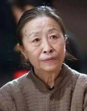 我的左手右手(2013年刘一志执导的电视剧)