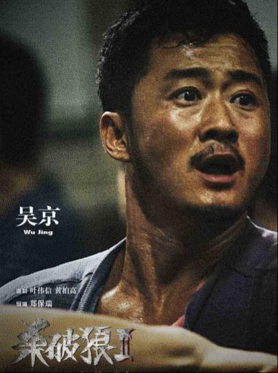 杀破狼2(2015年郑保瑞执导的电影)