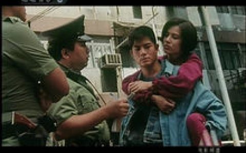 你是我的英雄(中国香港梁柏坚执导的电影)