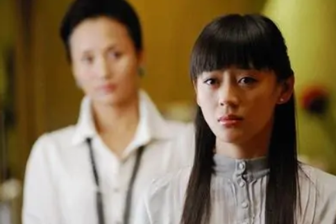 野鸭子(2011年李小平执导电视剧)