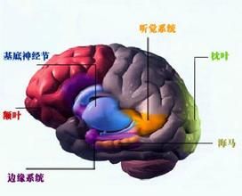 精神分裂症(精神科疾病)