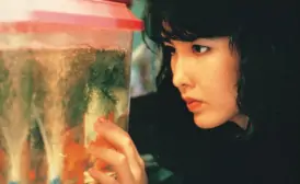 风雨同路(1989年周星驰主演电影)