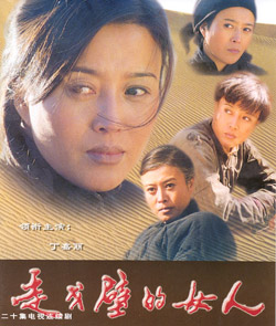 走戈壁的女人(民国时期电视剧)