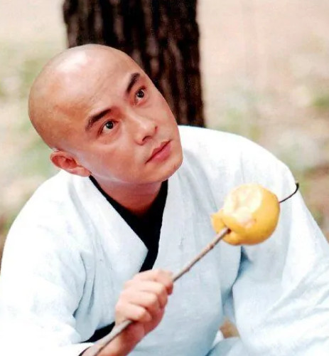 机灵小不懂(2001年马精武、靳德茂执导的电视剧)