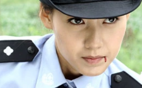 要案组雷霆出击(2008年虎子执导的电视剧)