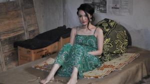 湄公河大案(2014年安战军、游达志执导的电视剧)