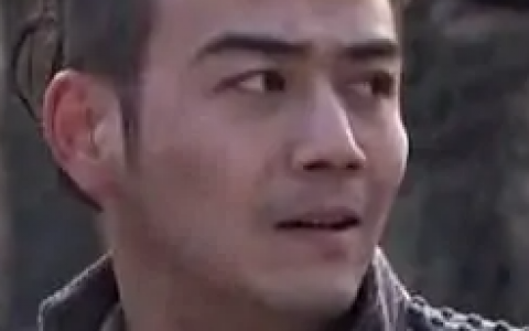 冒牌英雄(2014车父、刘礴、寒冬执导的电视剧)