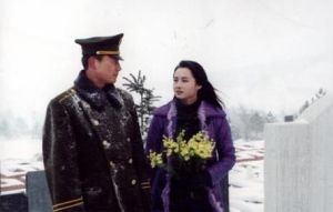 大雪无痕(雷献禾、康宁执导的电视剧)