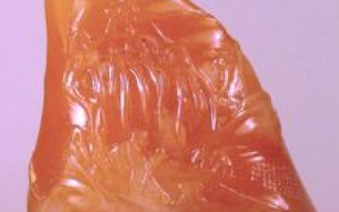 田黄石(篆刻名石)