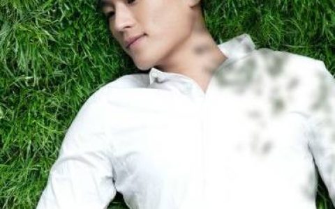 左耳(2014年苏有朋执导的电影)