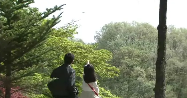 白色之春(日本2009年三宅喜重、小松隆志、植田尚执导电视剧)
