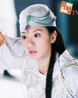 神医侠侣(2004年赖水清执导电视剧)