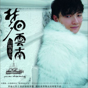 梦回云南(音像制品)