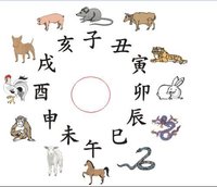 十二生肖配对(婚姻配对法)