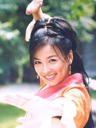 皇后进宫(2002年成志城执导的电视剧)