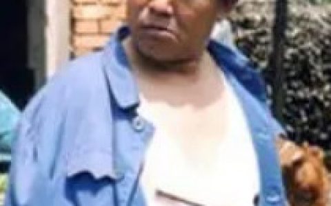 都市外乡人(2006年顾晶执导的电视剧)